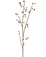 De Kunstbloem Rozenbottel 112 cm rood heeft een enkele bruine tak met kleine rode en donkerpaarse besjes en een paar lichtgroene blaadjes, tegen een effen witte achtergrond.