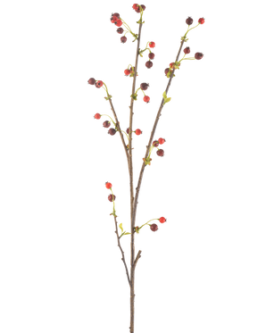 Il fiore artificiale di rosa canina rossa da 112 cm ha un unico ramo marrone con piccole bacche rosse e viola scuro e alcune foglie verde chiaro, su uno sfondo bianco semplice.