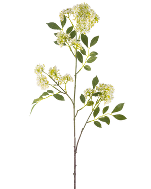 Il fiore artificiale carota selvatica 102 cm crema ha un unico stelo alto con mazzi di piccoli fiori color crema e diverse foglie verdi seghettate su uno sfondo bianco.