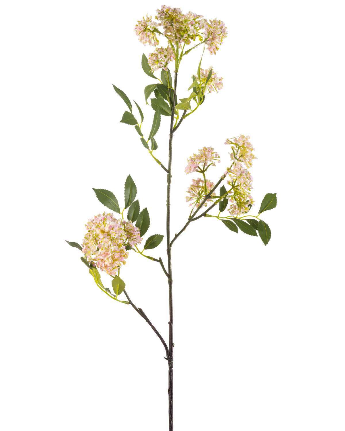 Il fiore artificiale carota selvatica 102 cm viola ha un gambo lungo e sottile con mazzi di piccoli fiori viola e foglie verdi, isolati su sfondo bianco.