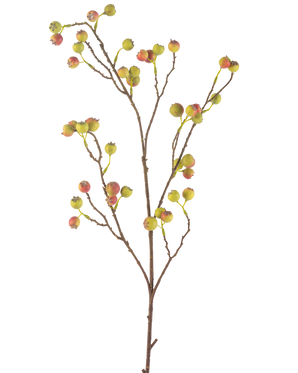 Il fiore artificiale Bacca di biancospino 104 cm verde/rosso ha un sottile stelo marrone con diversi germogli, ciascuno decorato con mazzi di piccole bacche verdi e rosse, su uno sfondo bianco.