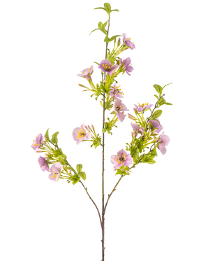 Il fiore artificiale Quisqualis 110 cm viola ha uno stelo lungo e sottile con numerose foglie verdi e mazzi di delicati fiori viola chiaro con un cuore giallo su sfondo bianco.