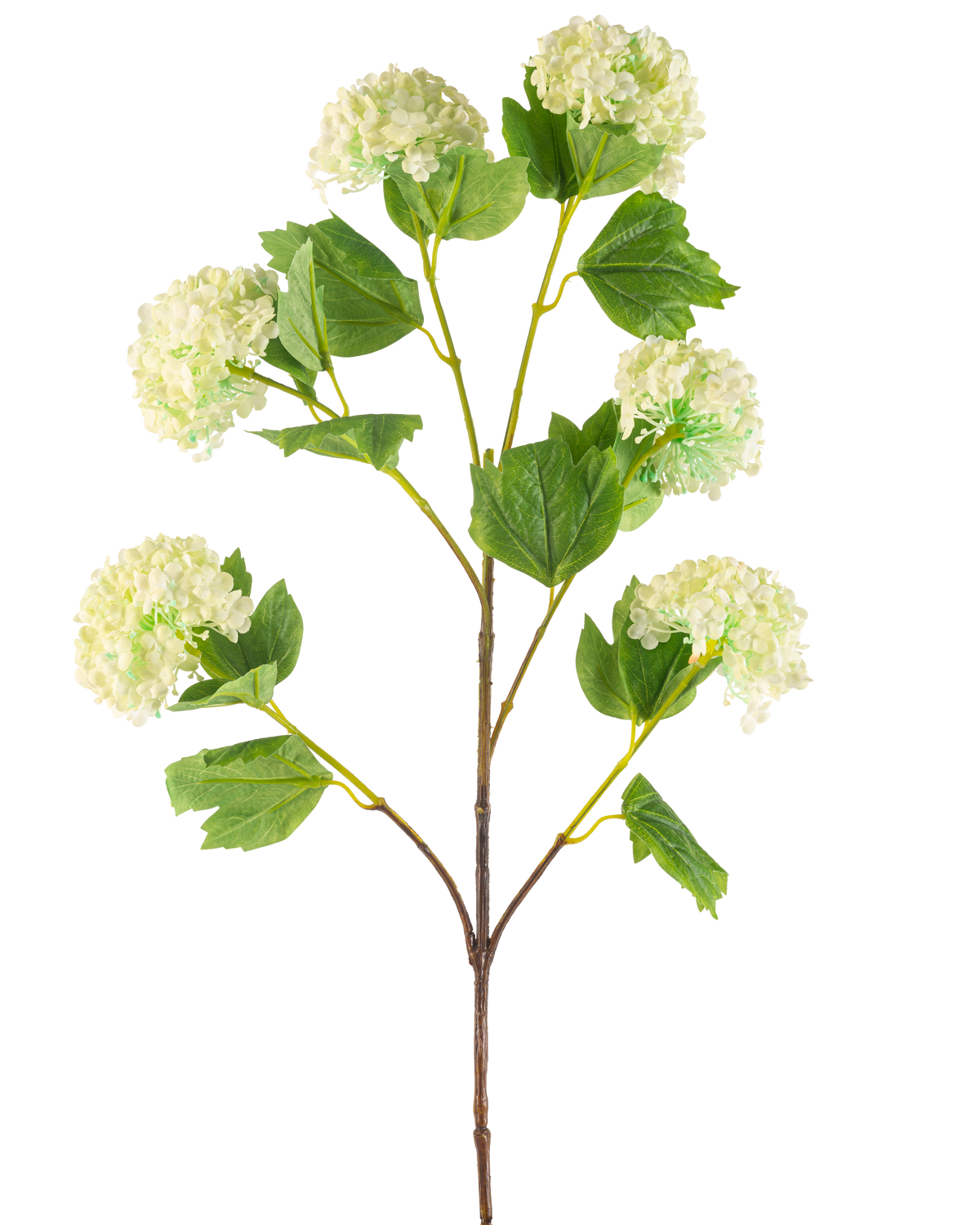Il fiore artificiale Palla di neve 94 cm verde ha un unico stelo artificiale con mazzi di fiori verde chiaro simili a ortensie e alcune foglie verdi, raffigurate su sfondo bianco.