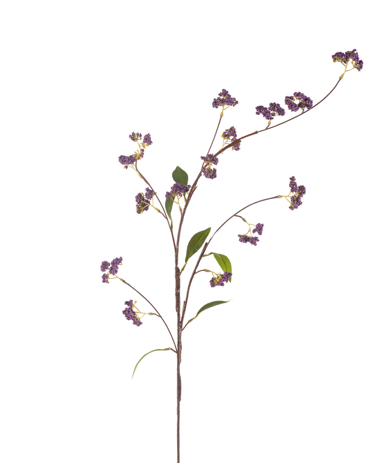 Il Fiore Artificiale Bacche 95 cm viola ha un unico stelo marrone con rami multipli, decorato con mazzi di bacche viola e alcune foglie verdi, perfettamente isolate su uno sfondo bianco.