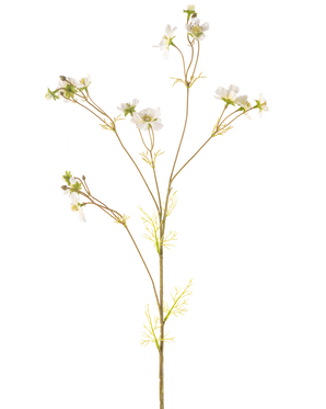 Il fiore artificiale Cosmos crema da 95 cm è una pianta artificiale alta e delicata con steli sottili, piccole foglie verdi e mazzi di piccoli fiori bianchi con un cuore giallo, raffigurati su un semplice sfondo bianco.