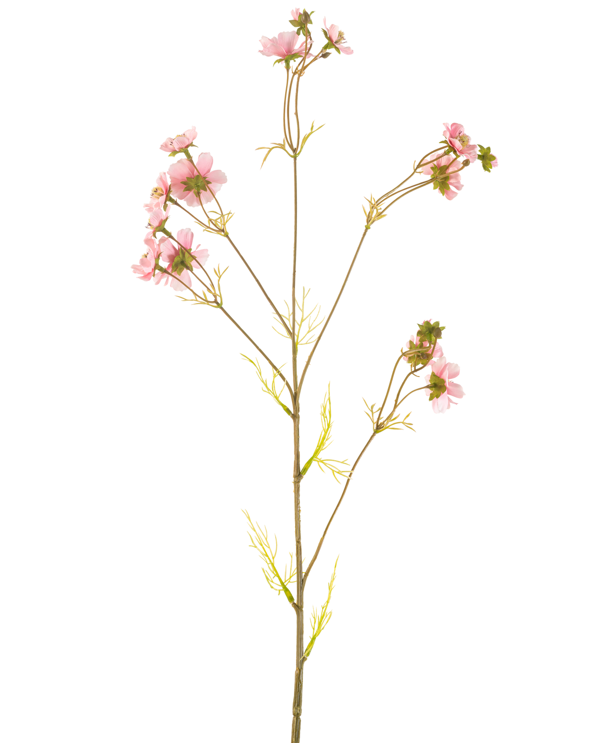 Un fiore artificiale Cosmos rosa da 95 cm ha un unico stelo alto con molteplici rami sottili, ciascuno decorato con mazzi di delicati fiori rosa e foglie verde chiaro, su uno sfondo bianco semplice.