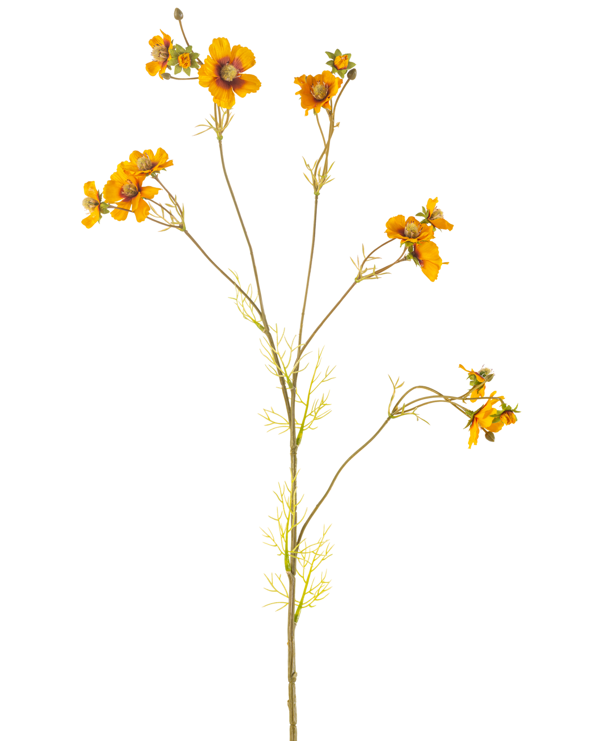 Il fiore artificiale Cosmos giallo da 95 cm ha un unico stelo alto con rami sottili, ciascuno decorato con mazzi di fiori giallo-arancio brillante e foglie verdi delicate, su uno sfondo bianco semplice.