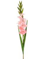De Kunstbloem Gladiolen 93 cm roze heeft een enkele steel met meerdere zachtroze bloemen en lange groene bladeren, afgebeeld tegen een witte achtergrond.
