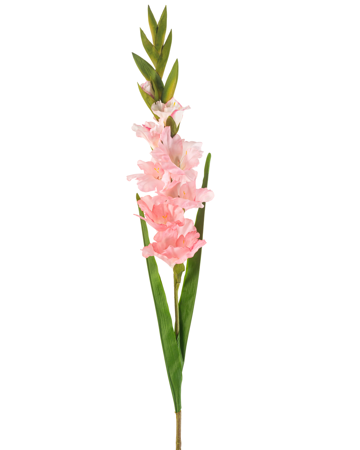 Il fiore artificiale Gladiolo rosa da 93 cm ha un unico stelo con diversi fiori rosa tenue e lunghe foglie verdi, raffigurati su uno sfondo bianco.