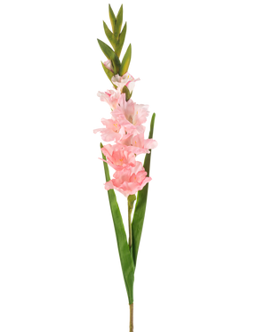 Il fiore artificiale Gladiolo rosa da 93 cm ha un unico stelo con diversi fiori rosa tenue e lunghe foglie verdi, raffigurati su uno sfondo bianco.