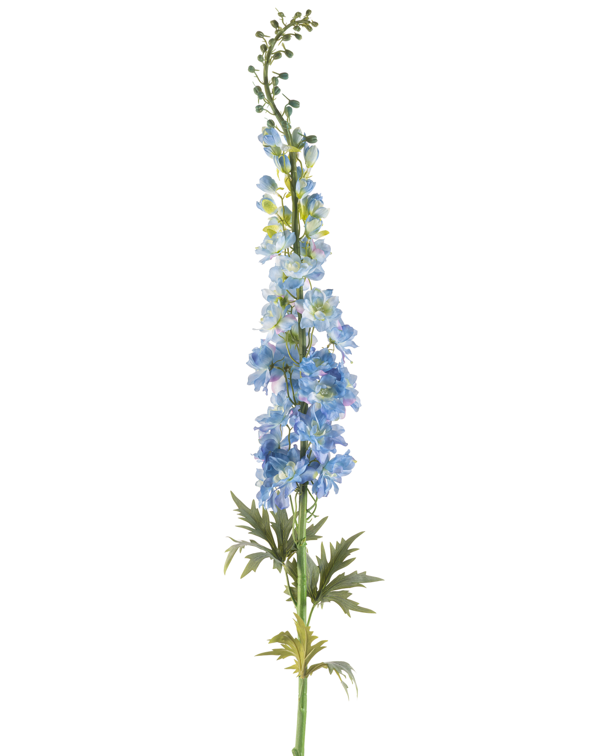 Un singolo stelo di fiore artificiale Larkspur 137 cm blu scuro, con molteplici fiori artificiali blu scuro e foglie verdi, disposti lungo lo stelo superiore e su uno sfondo bianco.