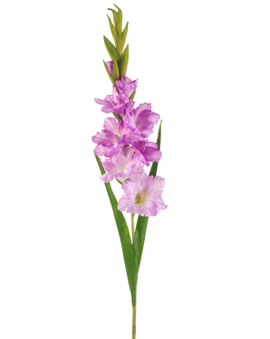 Un singolo gambo di gladiolo artificiale di 93 cm con fiori multipli rosa e viola chiaro con lunghe foglie verdi, isolati su uno sfondo bianco.