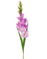De Kunstbloem Gladiolen 93 cm paars is een kunstmatige gladioolstengel met lichtpaarse en roze bloemen, groene bladeren en knoppen tegen een witte achtergrond.