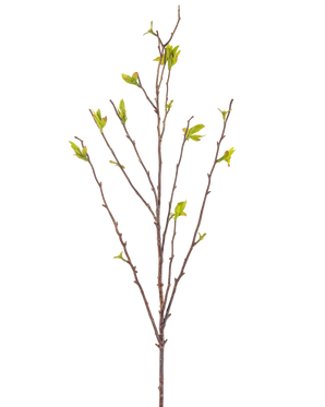 Il fiore artificiale Winterzoet 81 cm verde è un ramo artificiale con sottili steli marroni e piccole foglie verdi su sfondo bianco.