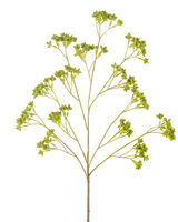 De Kunsttak Zaaddoos 80 cm groen heeft een enkele vertakte stengel met verschillende trossen kleine groene blaadjes, allemaal symmetrisch gerangschikt tegen een witte achtergrond.