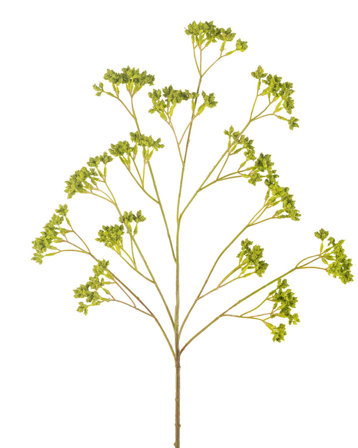 La scatola per semi di rami artificiali verde da 80 cm ha un unico stelo ramificato con diversi grappoli di piccole foglie verdi, tutte disposte simmetricamente su uno sfondo bianco.