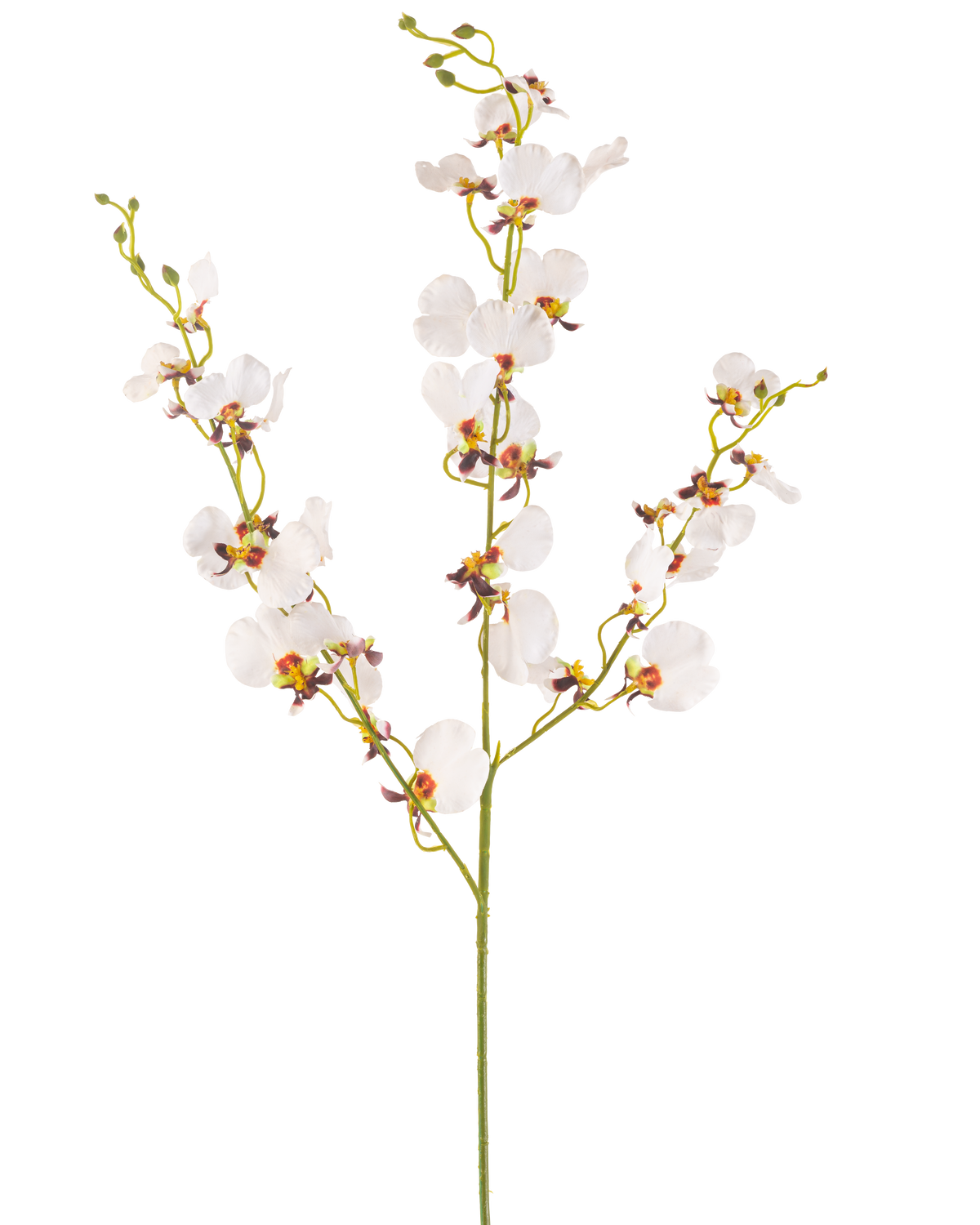 Il fiore artificiale di orchidea color crema da 98 cm è un singolo stelo di orchidea artificiale color crema con molteplici fiori delicati e molteplici boccioli, con centri gialli e viola, isolati su un semplice sfondo bianco.