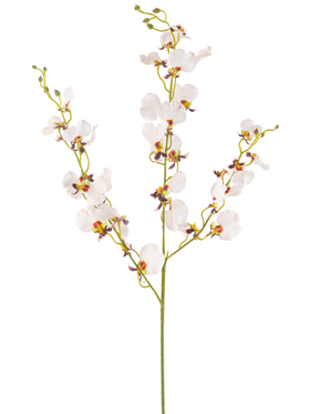 Il fiore artificiale di orchidea color crema da 98 cm è un singolo stelo di orchidea artificiale color crema con molteplici fiori delicati e molteplici boccioli, con centri gialli e viola, isolati su un semplice sfondo bianco.
