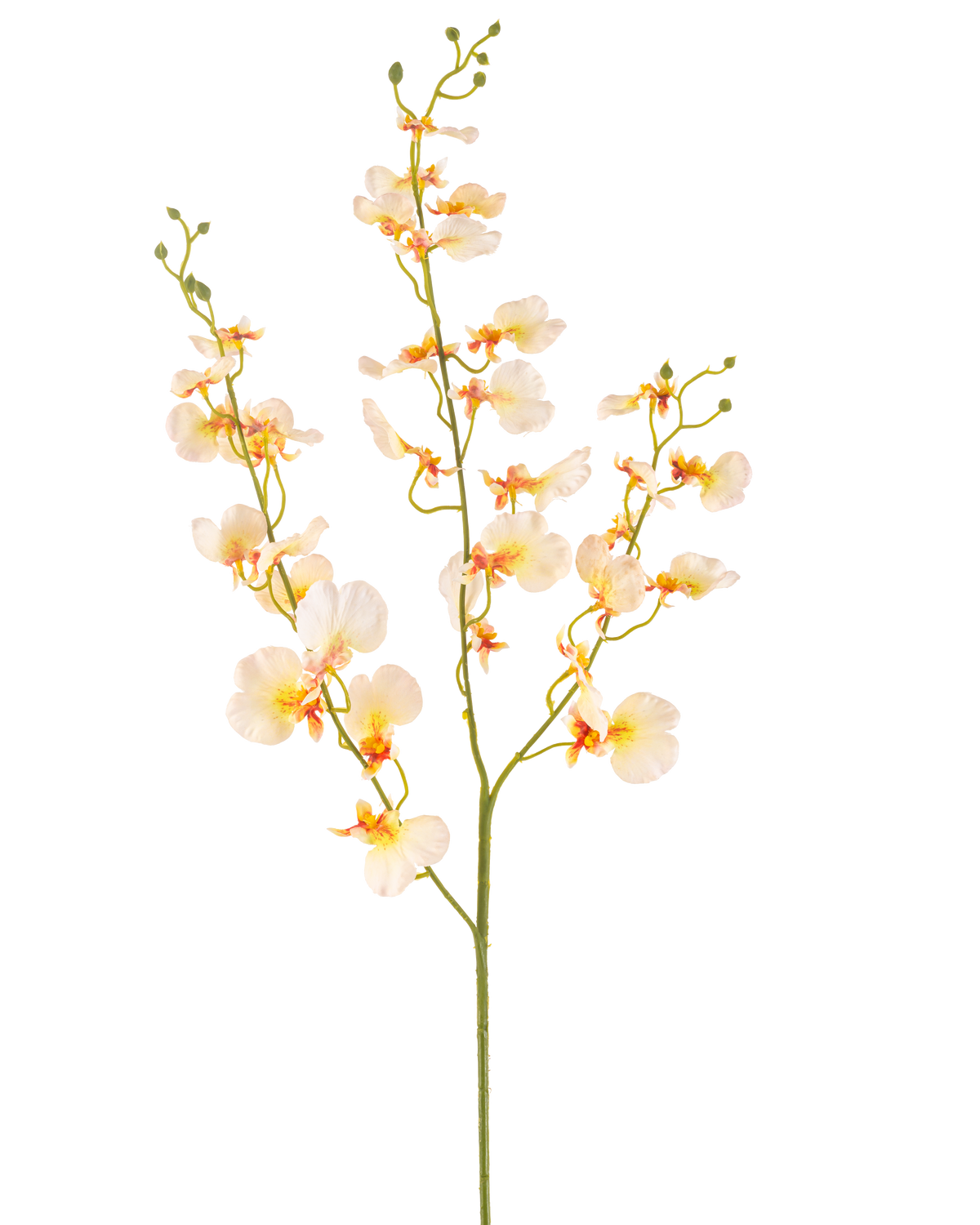 Il fiore artificiale di orchidea giallo chiaro da 98 cm ha un lungo stelo verde con rami multipli e delicate orchidee giallo chiaro, ciascuna con un morbido cuore arancione e rosso, il tutto su uno sfondo bianco.