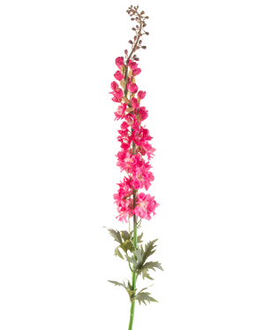 Un singolo fiore artificiale Larkspur 137 cm in rosa brillante con foglie verdi, isolato su sfondo bianco.