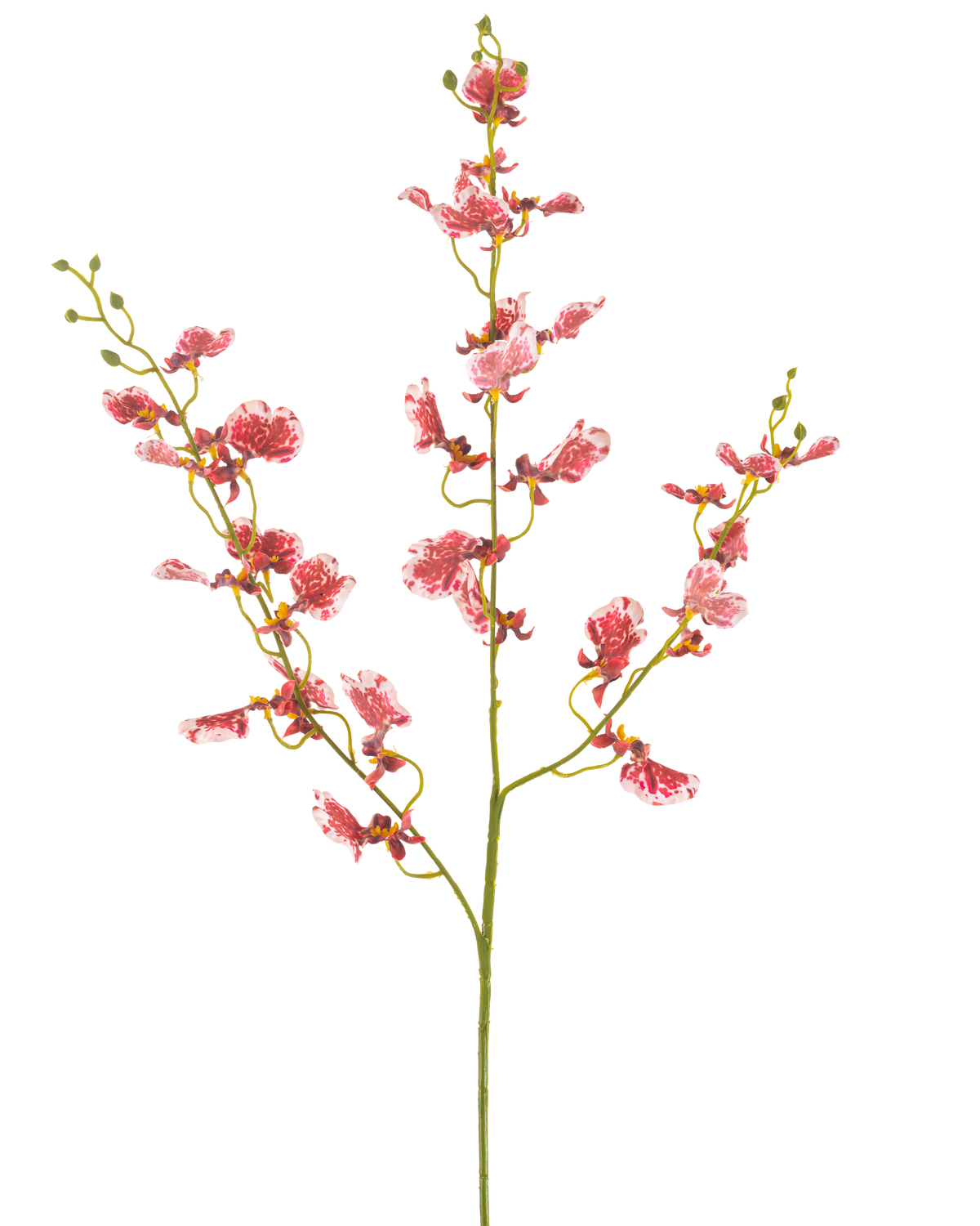 Un unico fiore artificiale rosso di orchidea da 98 cm con rami multipli, ciascuno con grappoli di fiori vivaci, su uno sfondo bianco semplice.