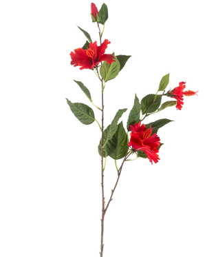 Il fiore artificiale di ibisco rosso da 89 cm ha un unico stelo con tre fiori di ibisco rossi vivaci e foglie verdi lussureggianti su uno sfondo bianco.
