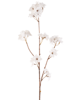 De Kunstbloem Kersenbloesem 85 cm crème heeft een slanke bruine steel met meerdere takken die trossen delicate crème kunstmatige kersenbloesems vasthouden, allemaal tegen een effen witte achtergrond.