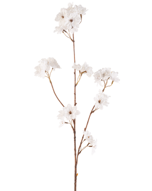Il fiore artificiale di ciliegio color crema da 85 cm ha un sottile stelo marrone con rami multipli che sostengono mazzi di delicati fiori di ciliegio artificiali color crema, il tutto su un semplice sfondo bianco.