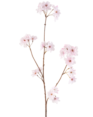 Il fiore artificiale di ciliegio rosa chiaro da 85 cm ha un unico stelo marrone sottile con grappoli di delicati fiori di ciliegio rosa chiaro, splendidamente isolati su uno sfondo bianco.