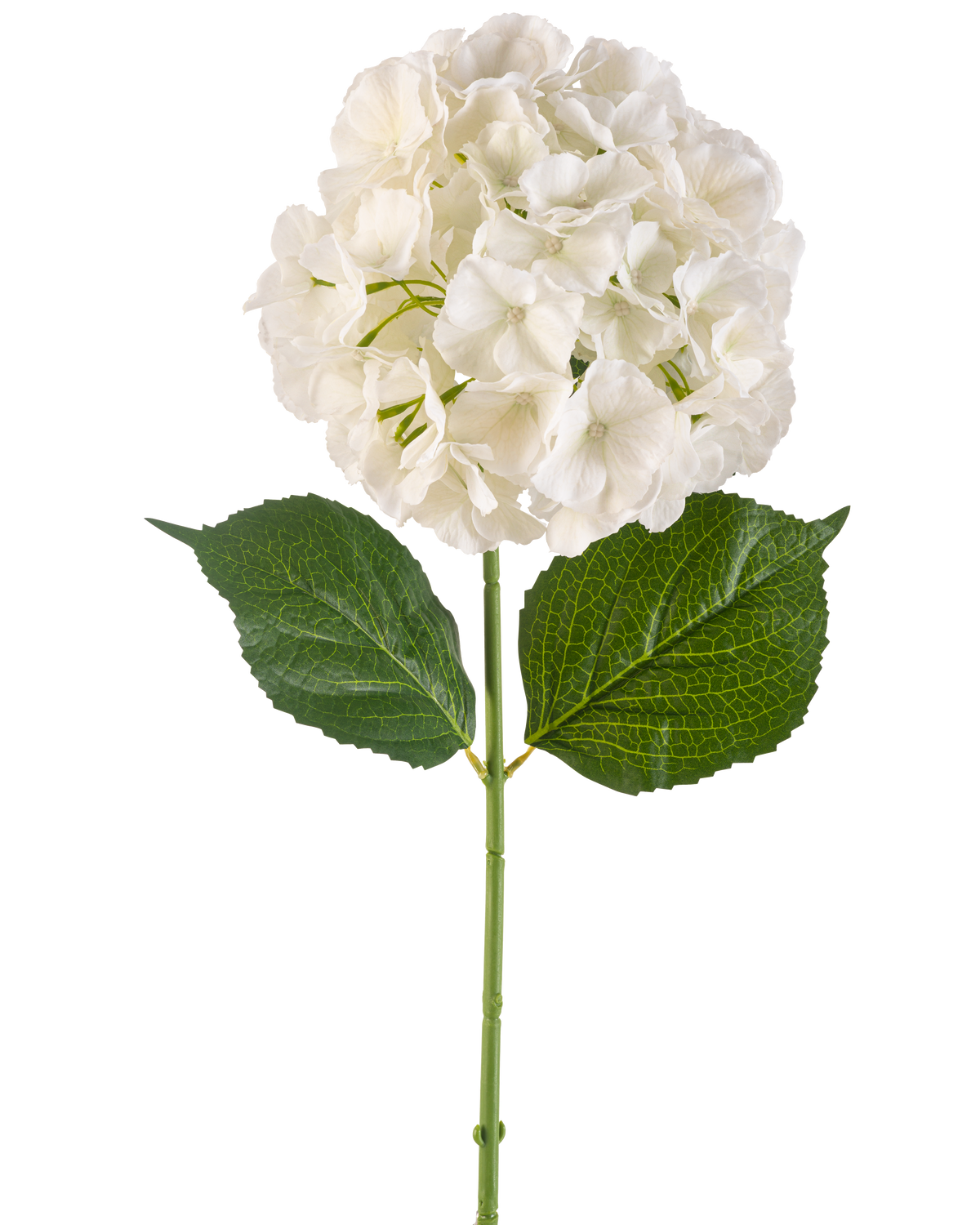 Il Fiore Artificiale Ortensia Crema 75 cm presenta un unico fiore di ortensia color crema con petali multipli e tre grandi foglie verdi su un lungo stelo verde, isolato su sfondo bianco.