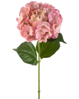 De Kunstbloem Hortensia 75 cm roze heeft een enkele roze hortensia bloem met fijne bloemblaadjes en twee grote groene bladeren op een lange groene steel, tegen een witte achtergrond.