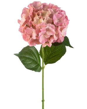 Il fiore artificiale Ortensia rosa 75 cm ha un singolo fiore di ortensia rosa con petali fini e due grandi foglie verdi su un lungo stelo verde, su uno sfondo bianco.
