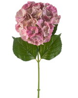 De Kunstbloem Hortensia 75 cm mauve heeft een enkele mauve hortensiabloesem met groene bladeren op een lange steel, tegen een witte achtergrond.