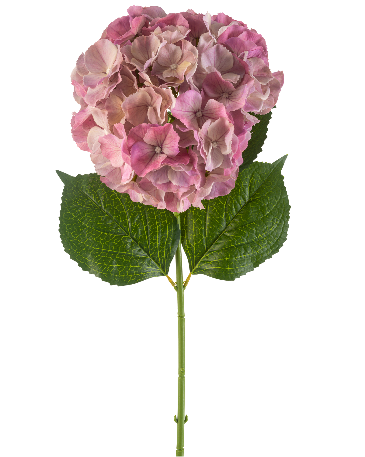 Il fiore artificiale di ortensia malva da 75 cm ha un singolo fiore di ortensia color malva con foglie verdi su un lungo stelo, su uno sfondo bianco.