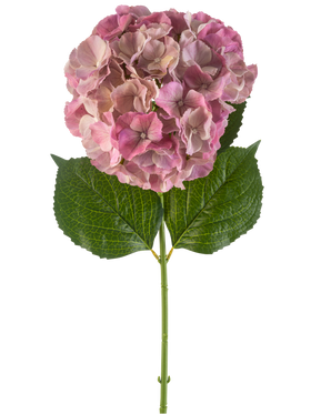 Il fiore artificiale di ortensia malva da 75 cm ha un singolo fiore di ortensia color malva con foglie verdi su un lungo stelo, su uno sfondo bianco.