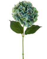 De Kunstbloem Hortensia 75 cm pauwblauw heeft een enkele blauwe kunsthortensia met ronde trossen bloemblaadjes en twee grote groene bladeren op een lange steel, geïsoleerd op een witte achtergrond.