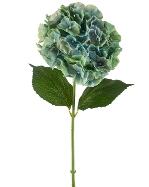 Il fiore artificiale Ortensia 75 cm blu pavone presenta un'unica ortensia artificiale blu con mazzi rotondi di petali e due grandi foglie verdi su un lungo stelo, isolate su uno sfondo bianco.
