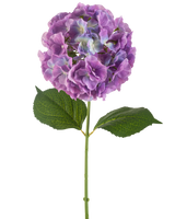 De Kunstbloem Hortensia 75 cm paars heeft een enkele kunsthortensiastam met grote, ronde trossen paarse bloemblaadjes en twee brede groene bladeren, tegen een witte achtergrond.