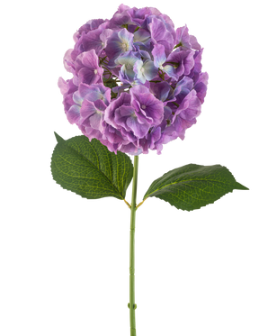 Il fiore artificiale Ortensia 75 cm viola ha un unico stelo di ortensia artificiale con grandi mazzi rotondi di petali viola e due larghe foglie verdi, su uno sfondo bianco.