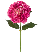 Een enkele stengel Kunstbloem Hortensia 75 cm felroze met trossen felroze bloemblaadjes en enkele groene blaadjes, tegen een effen witte achtergrond.