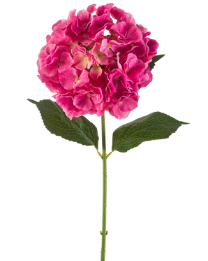 Un singolo stelo di fiore di ortensia artificiale di 75 cm di colore rosa brillante con mazzi di petali rosa brillante e alcune foglie verdi, su uno sfondo bianco semplice.