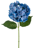 De Kunstbloem Hortensia 75 cm blauw heeft een enkele blauwe hortensiasteel met een ronde tros bloemblaadjes en twee grote groene bladeren op een effen witte achtergrond.