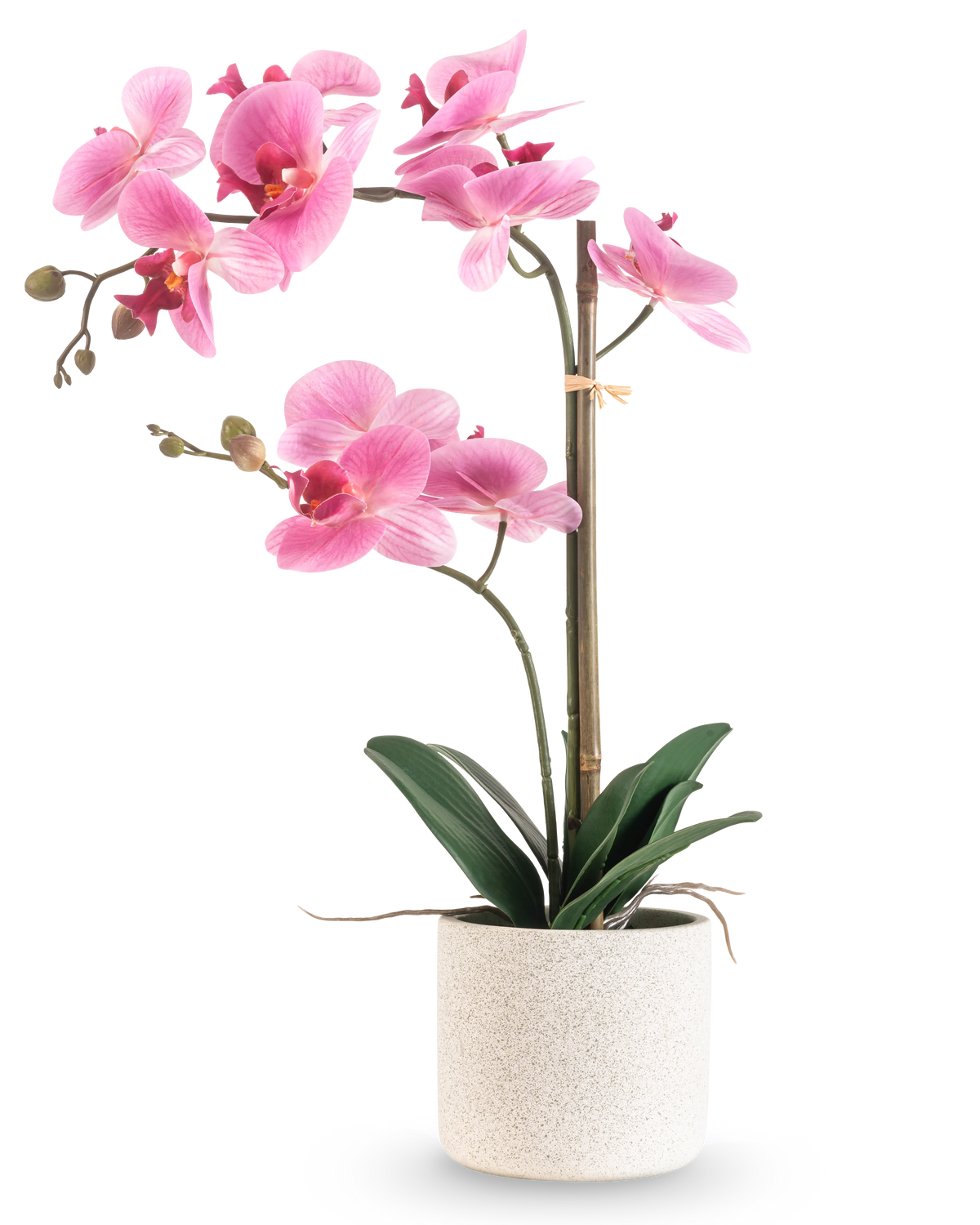 L'orchidea artificiale Real Touch 60 cm rosa/bianco ha un'orchidea rosa e bianca con vari fiori e foglie verdi in un vaso strutturato bianco, sostenuto da un sottile bastone di bambù, su uno sfondo bianco semplice.