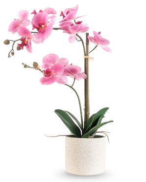 De Kunst Orchidee Real Touch 60 cm roze/wit heeft een roze en witte orchidee met verschillende bloemen en groene bladeren in een pot met witte textuur, ondersteund door een dunne bamboestok, tegen een effen witte achtergrond.