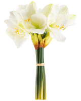 De Kunstbloem Amaryllis Real Touch wit 36 cm heeft levensechte witte amaryllisbloemen met lichtgroene hartjes en gele meeldraden, gebonden met een beige band rond groene stelen, perfect tegen een effen witte achtergrond.