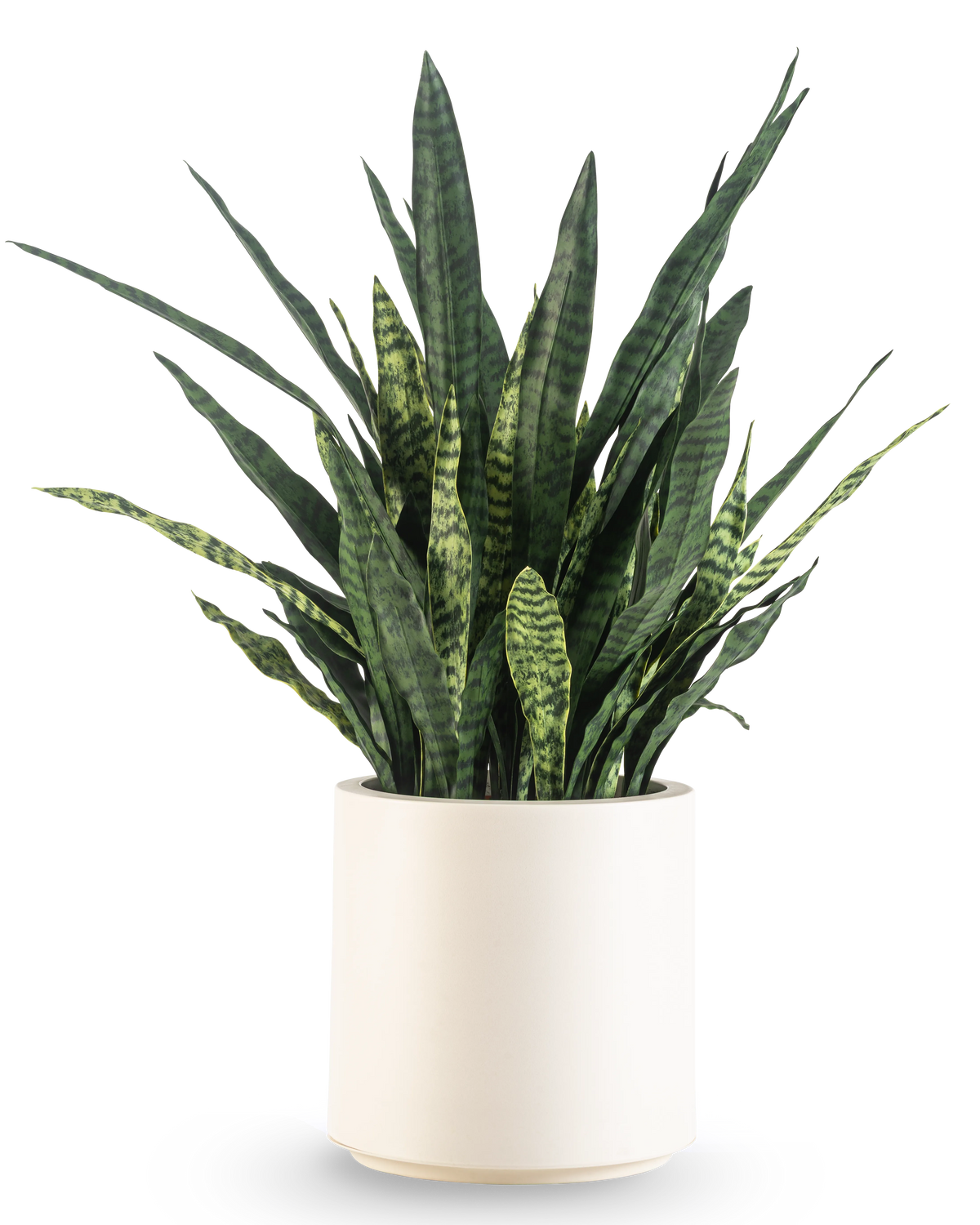 Una Sansevieria Zeylanica artificiale, alta 43 cm con lunghe foglie variegate, viene fornita in un vaso beige ed è raffigurata su un semplice sfondo bianco.