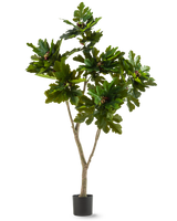 La pianta artificiale Ficus Carica fico 180 cm è una pianta artificiale in vaso con foglie larghe di colore verde lucido e piccoli frutti marroni, che ricordano un albero di fico, su sfondo bianco.