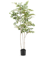 De Kunst Berkenboom "Silver" 180 cm is een hoge kunstberk met bonte bladeren in een eenvoudige zwarte pot, tegen een effen witte achtergrond.