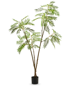 La pianta artificiale Mahonia 210 cm è una pianta artificiale alta in vaso con sottili steli marroni e foglie verdi lunghe e strette, raffigurate su uno sfondo bianco a tinta unita.
