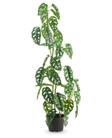 De Kunstplant Monstera 90 cm groen is een hoge, groene kunstplant met ovale bladeren met meerdere gaten, weergegeven in een pot tegen een effen witte achtergrond.